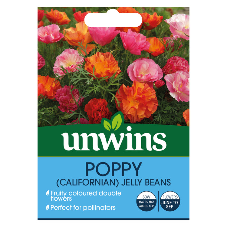 Californian Poppy Seeds 'XL Jelly Beans'