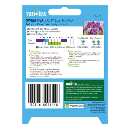 Sweet Pea Seeds 'Fairy Lights'