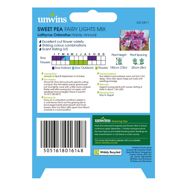 Sweet Pea Seeds 'Fairy Lights'