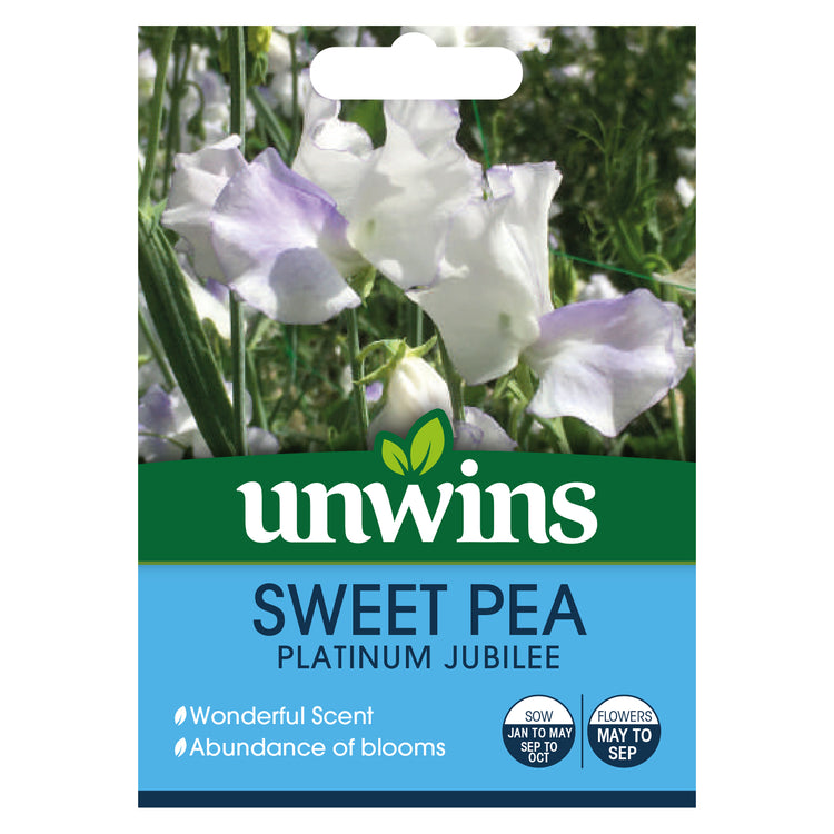 Sweet Pea Seeds 'Platinum Jubilee'