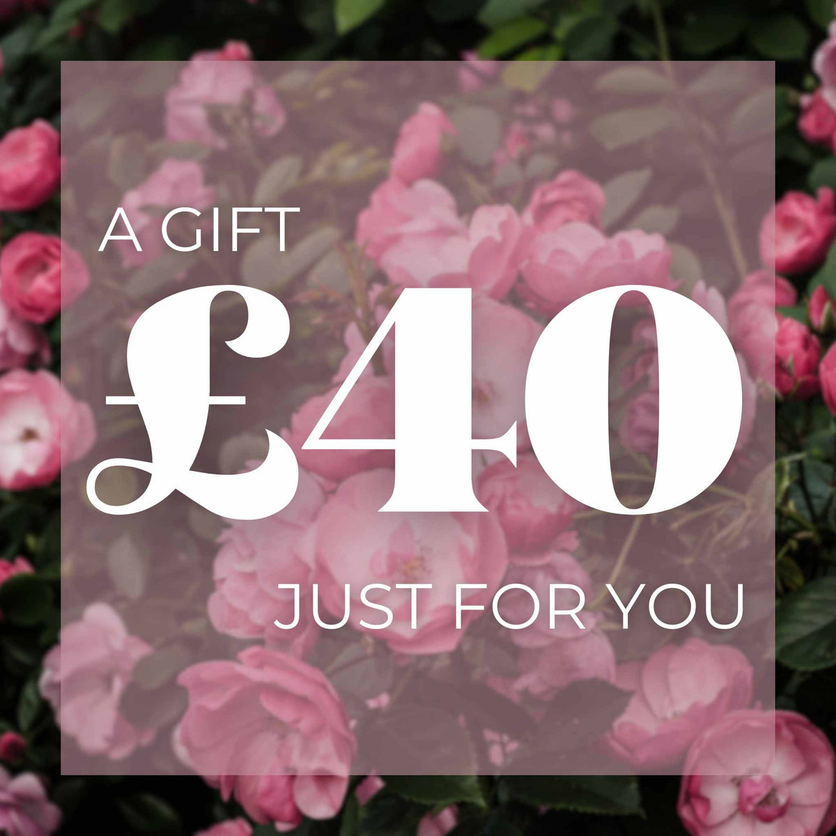 Marshalls Garden £40 EGift Voucher Buy Gardening Gift Voucher Online Gardening Gift Voucher