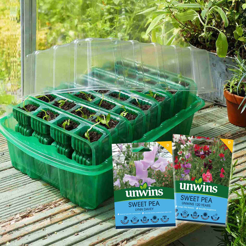 Visiroot Deep Cell Kit + Sweet Pea Seeds Duo Pack