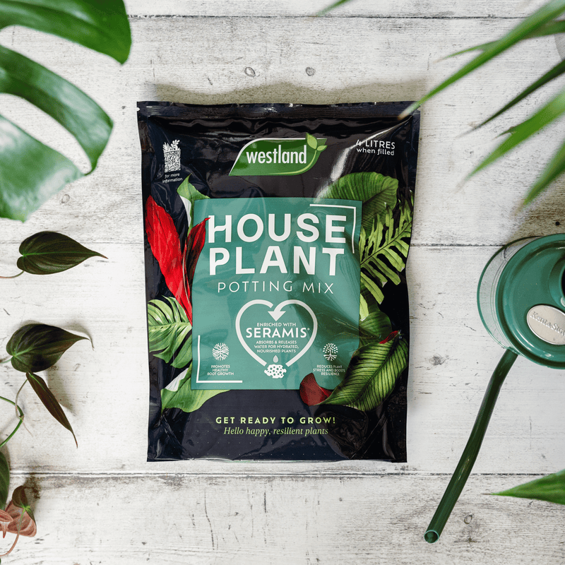 Westland Houseplant Peat Free Potting Mix