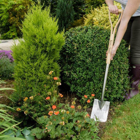 Kent & Stowe Stainless Steel Border Spade