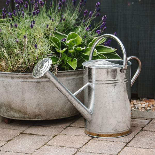 Kent & Stowe Galvanised Metal Watering Can - 9 Ltr