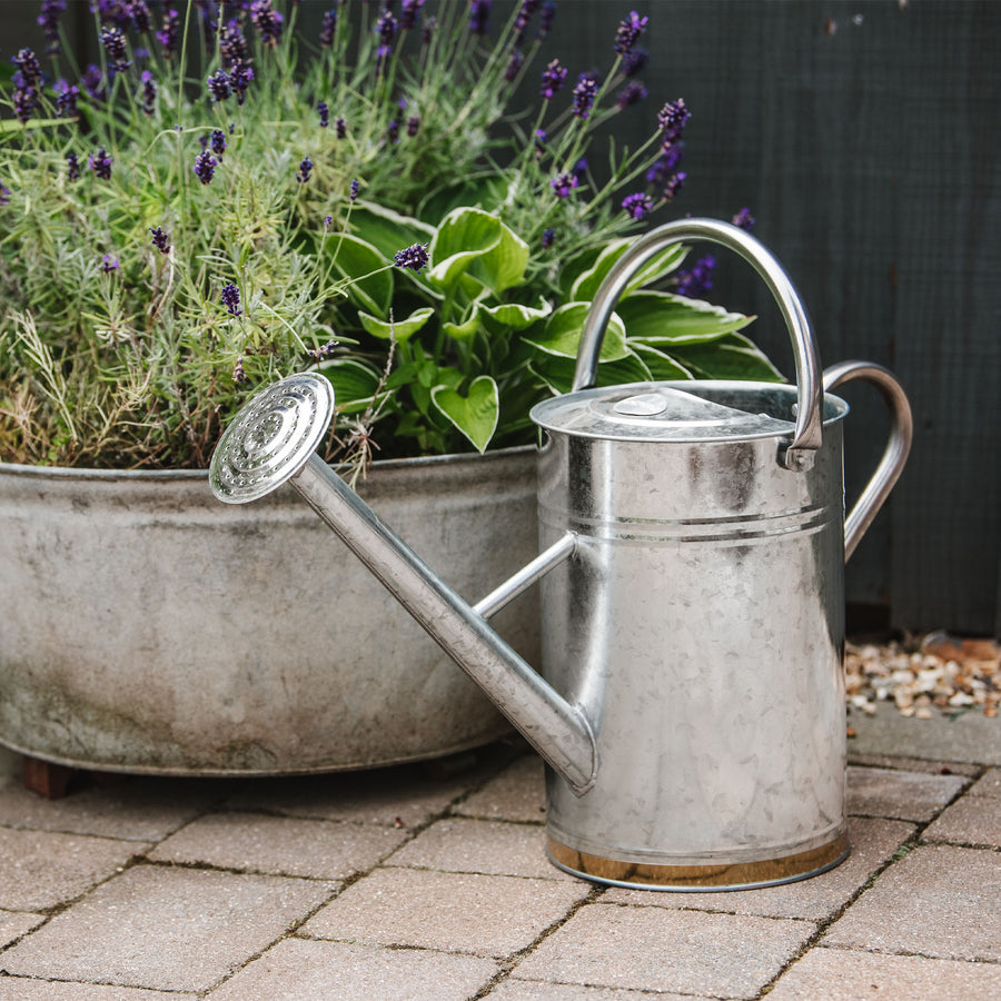 Kent & Stowe Galvanised Metal Watering Can 9 Ltr Buy Watering Can