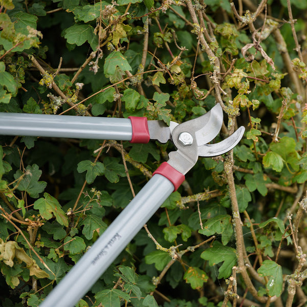 Kent & Stowe General Lopper & Hedge Shears Twin Pack