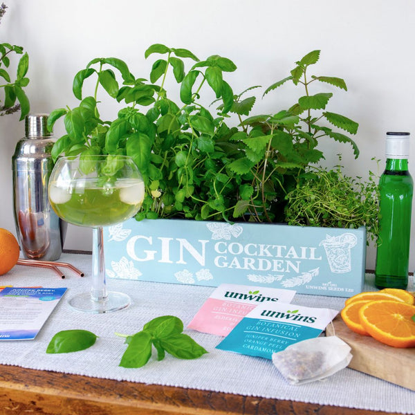 Gin Cocktail Garden Kit