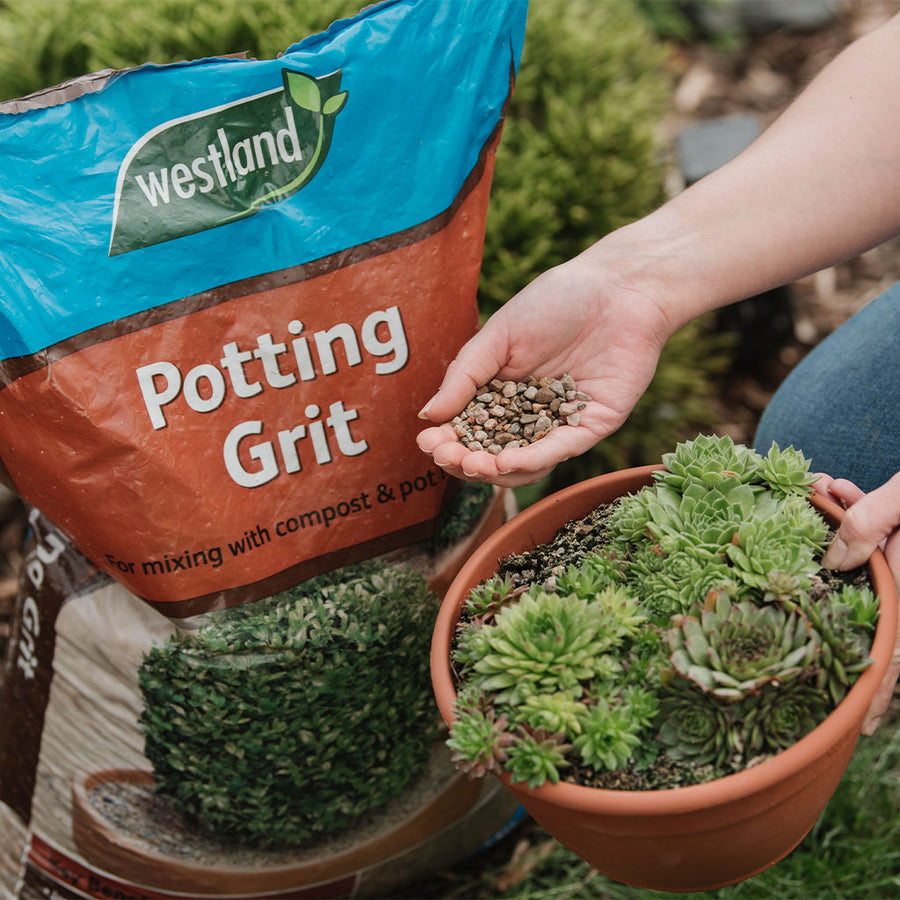 Buy Westland Potting Grit online Marshalls Marshalls Garden