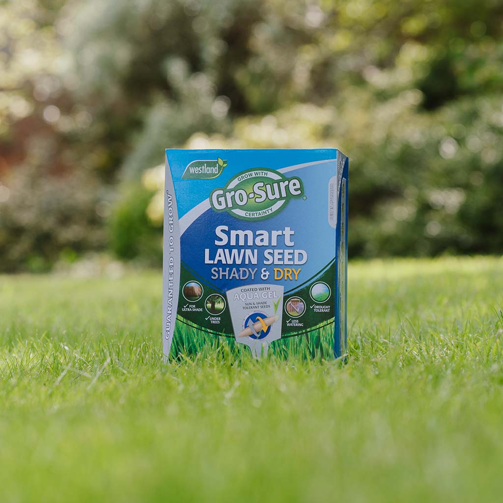 Smart Lawn Seed Shady & Dry Areas