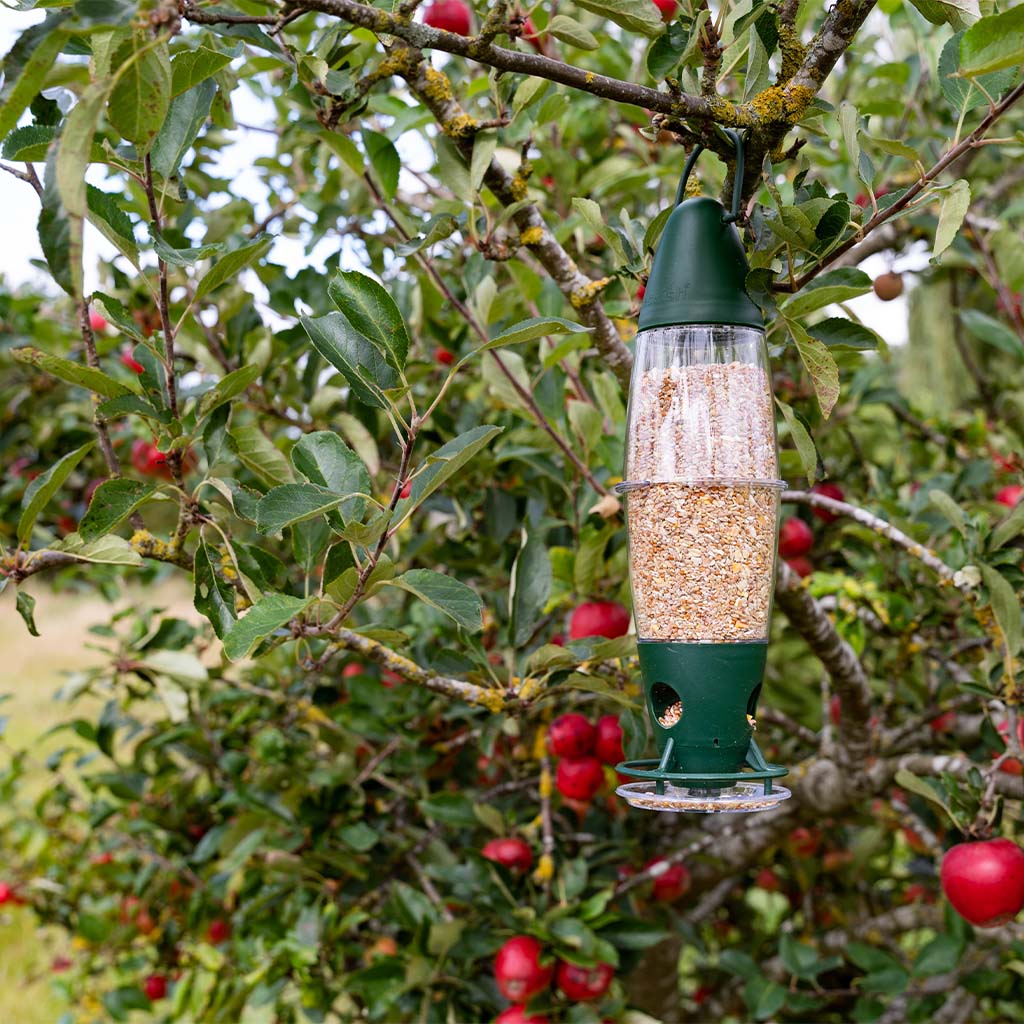 Peckish 3 Port Feeder with seed mix in 