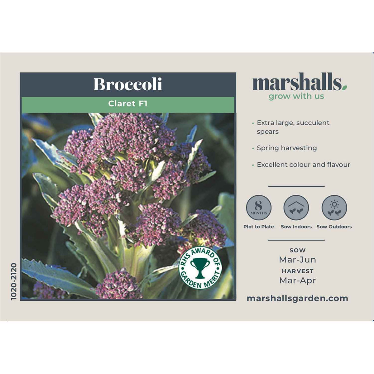 Broccoli Seeds 'Claret F1' Buy Broccoli Seeds Online Broccoli Seeds