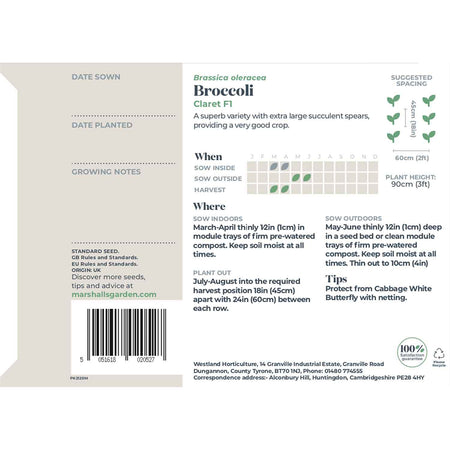 Broccoli Seeds 'Claret' F1