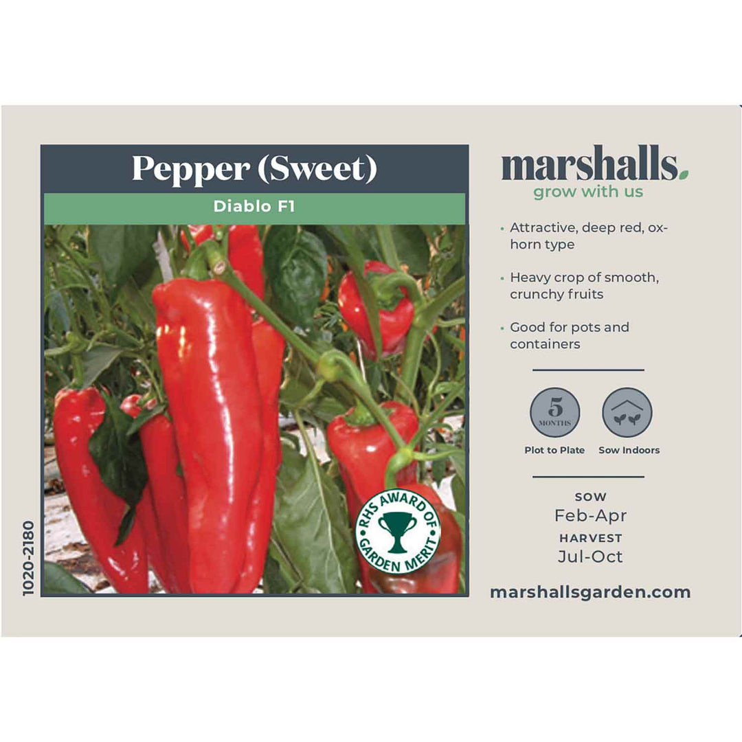 Pepper Seeds 'Diablo' F1 Buy Pepper Seeds Online Pepper Seeds for