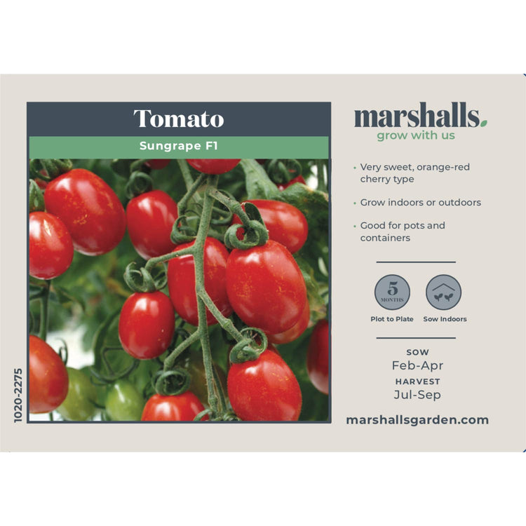 Tomato Seeds 'Sungrape' F1