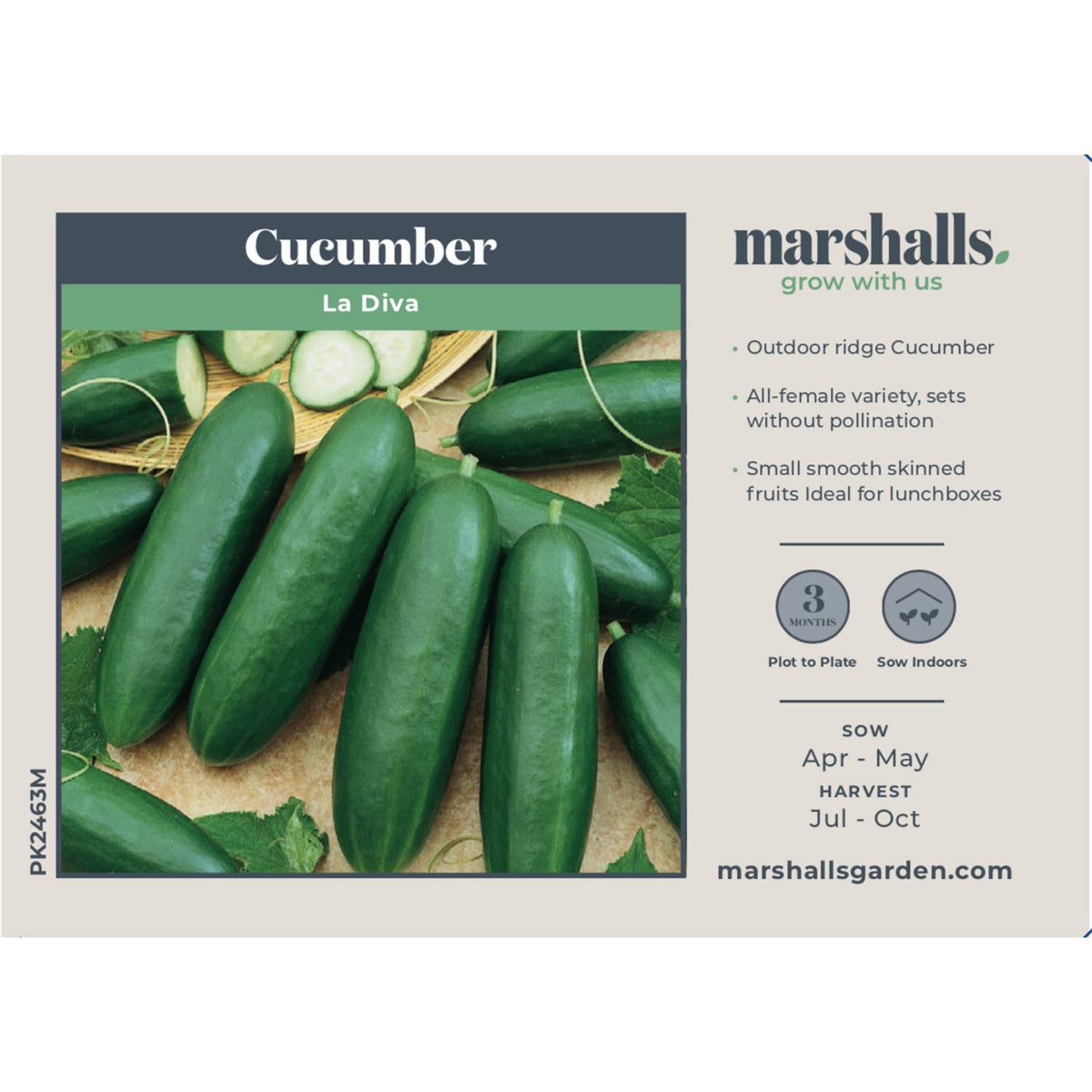 Cucumber Seeds 'La Diva' Buy Cucumber Seeds Online Cucumber Seeds