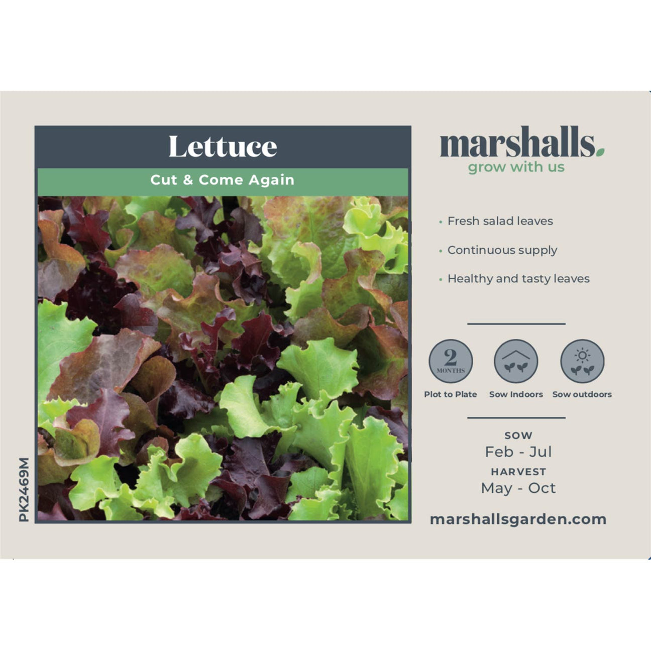Lettuce 'Cut and Come Again' Seeds Buy Lettuce Seeds Online Lettuce