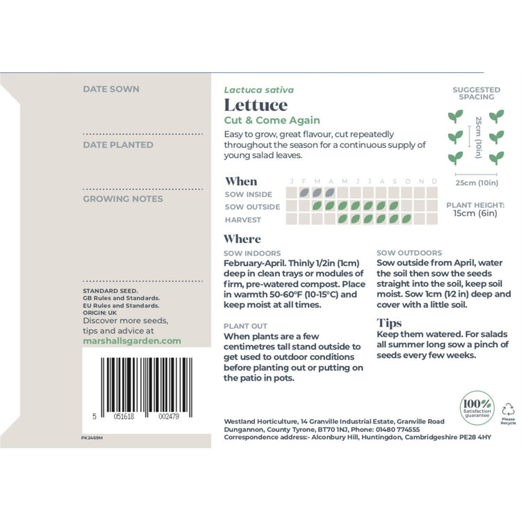 marshalls garden lettuce 'cut and come again' seeds Lettuce Seeds 'Cut and Come Again'