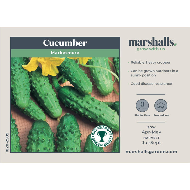 Buy Marketmore Cucumber Seeds Growing Cucumbers Outdoors online