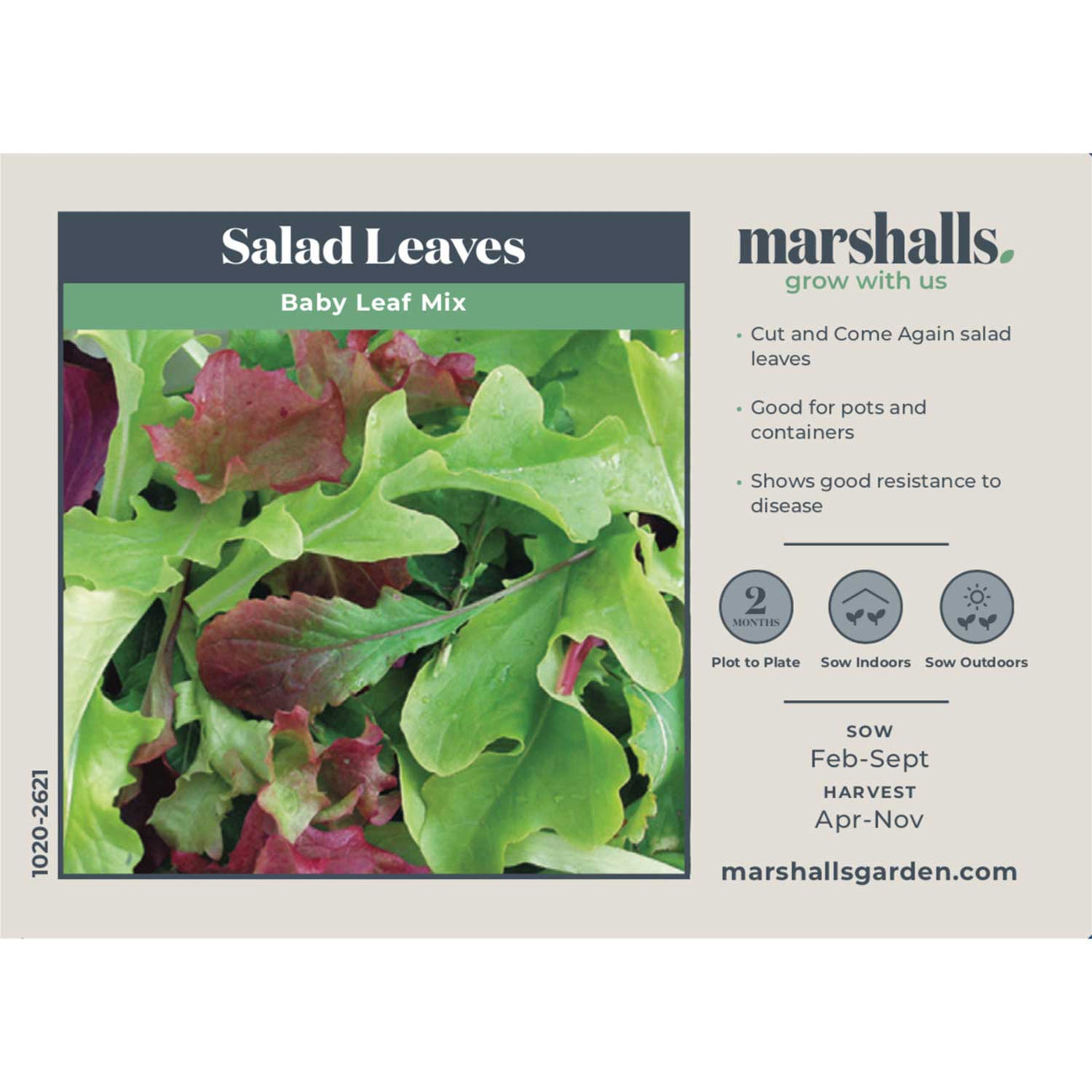 Salad Leaves Seeds 'Baby Leaf' Buy Salad Seeds Online Salad Seeds