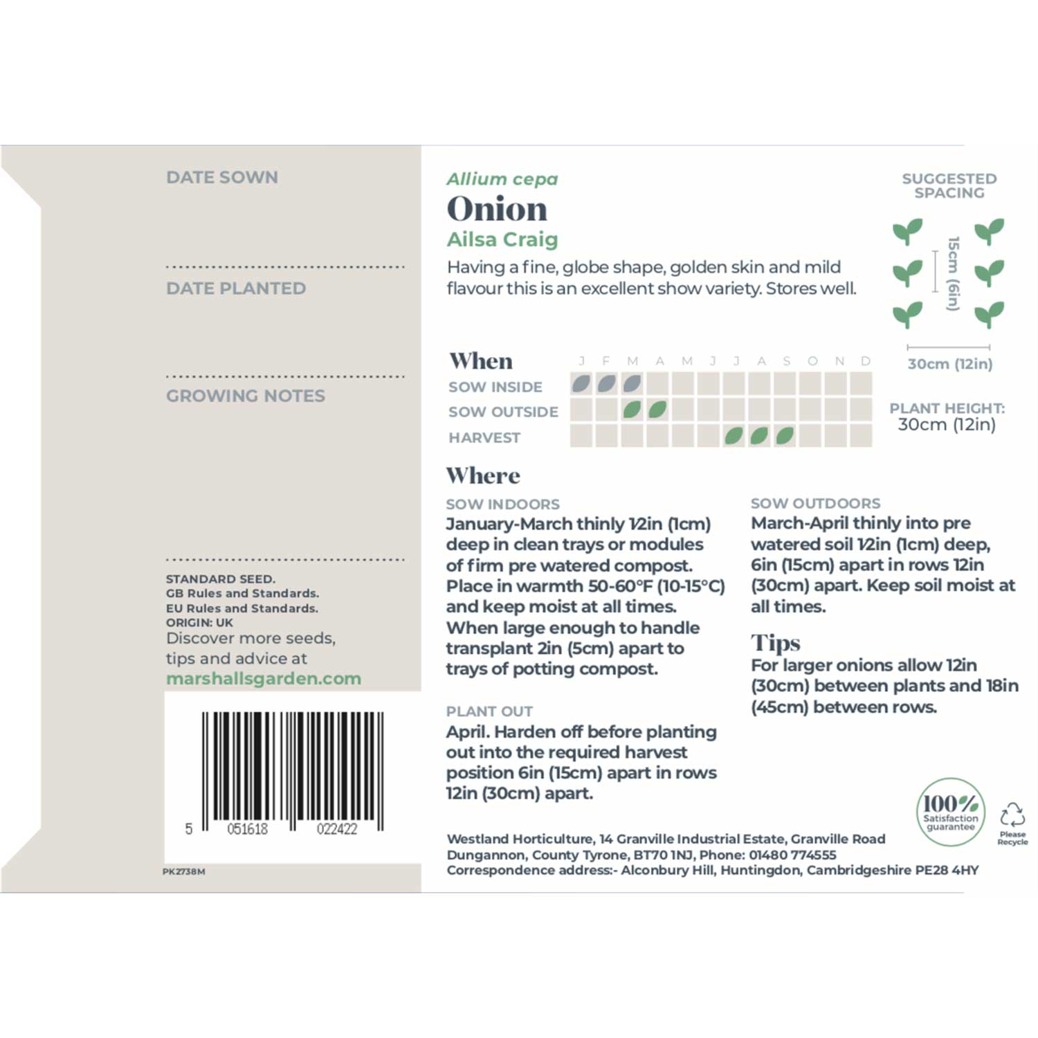 Onion Seeds 'Ailsa Craig' Buy Onion Seeds Online Onion Seeds for