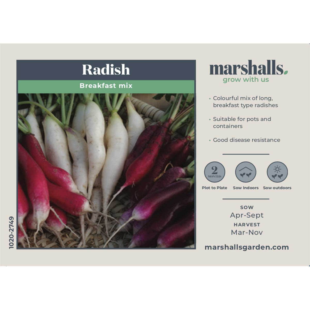 Radish Seeds 'Breakfast Mix' Buy Radish Seeds Online Radish Seeds