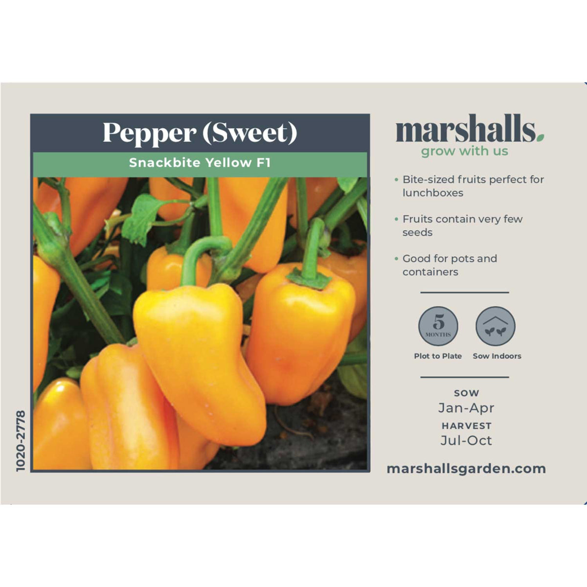 Sweet Pepper Seeds 'Snackbite Yellow F1' Buy Sweet Pepper Seeds