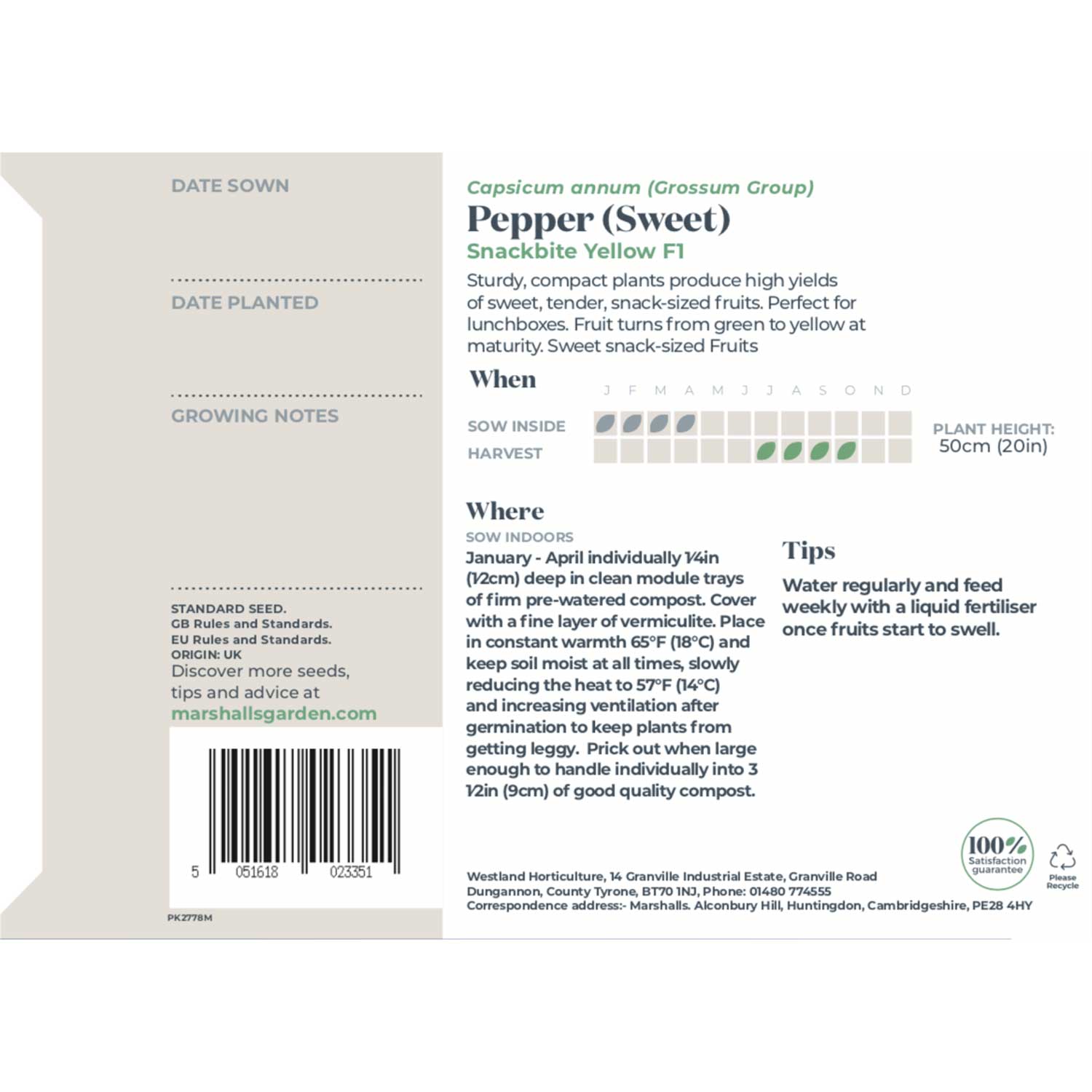 Sweet Pepper Seeds 'Snackbite Yellow F1' Buy Sweet Pepper Seeds