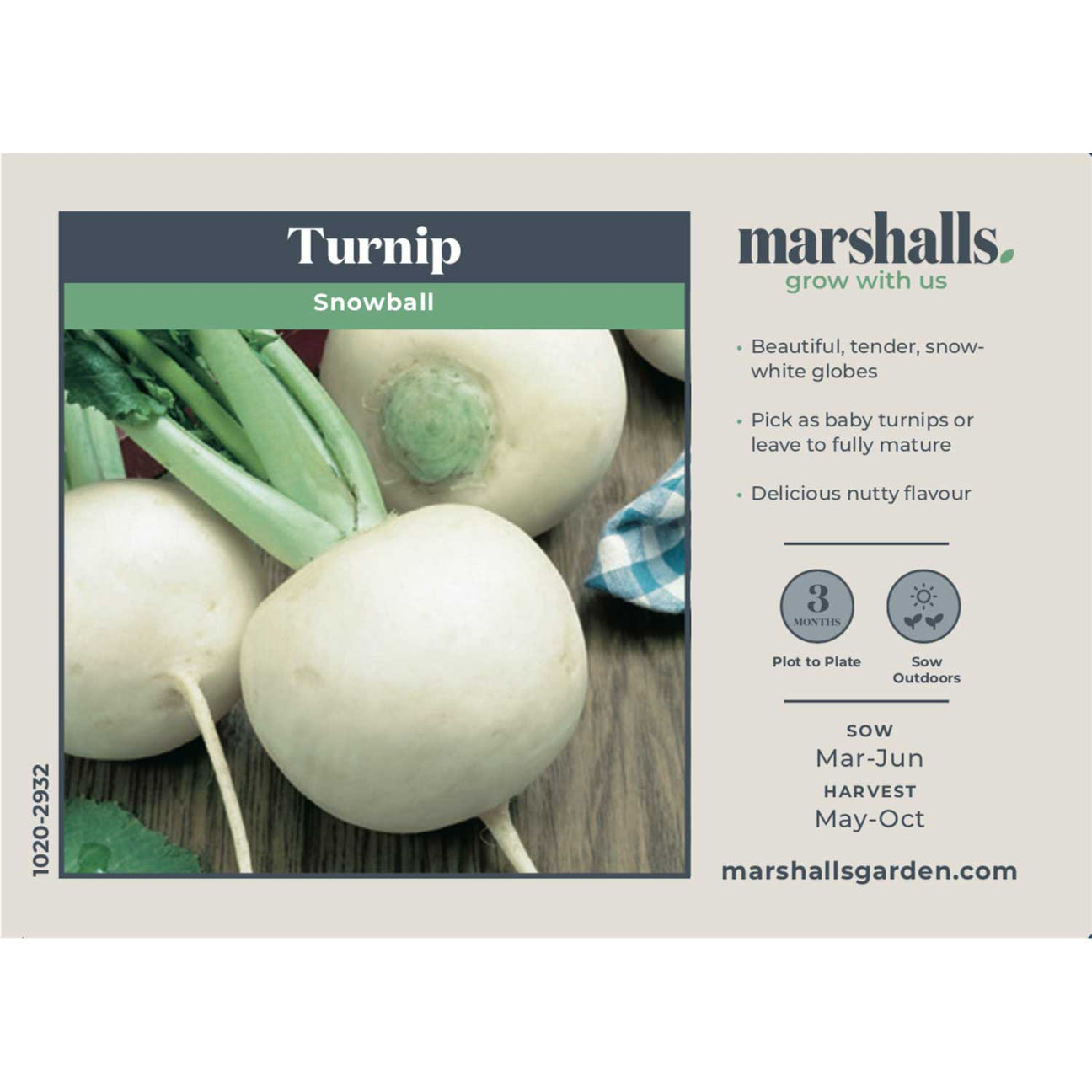 Turnip Seeds 'Snowball' Buy Turnip Seeds Online Turnip Seeds for