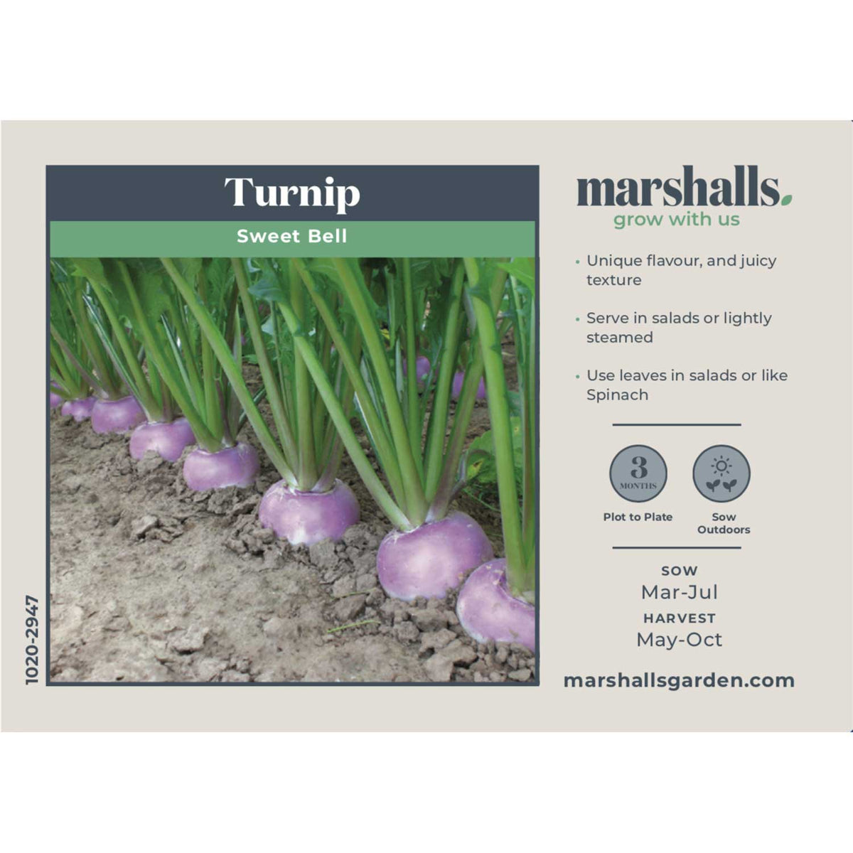 Turnip Seeds 'Sweetbell' F1 Buy Turnip Seeds Online Turnip Seeds