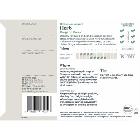 Oregano Seeds 'Greek'