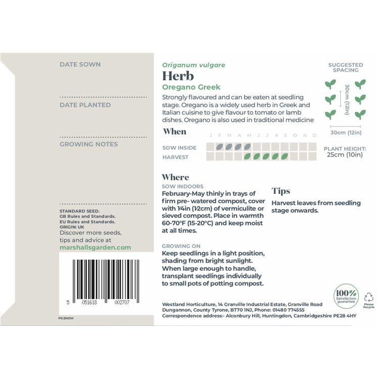 Oregano Seeds 'Greek'
