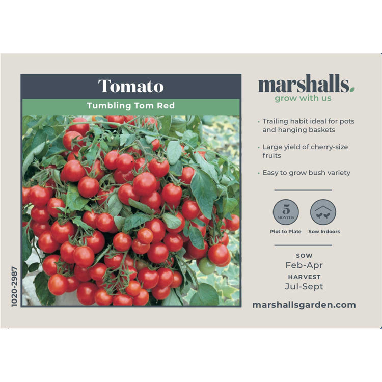Tomato Tumbling Tom Red Seeds