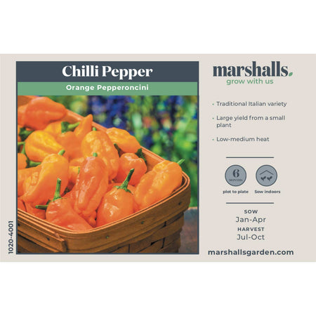 Chilli Pepper Seeds 'Orange Pepperoncini'