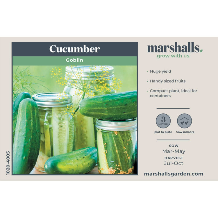 Cucumber Seeds 'Goblin'