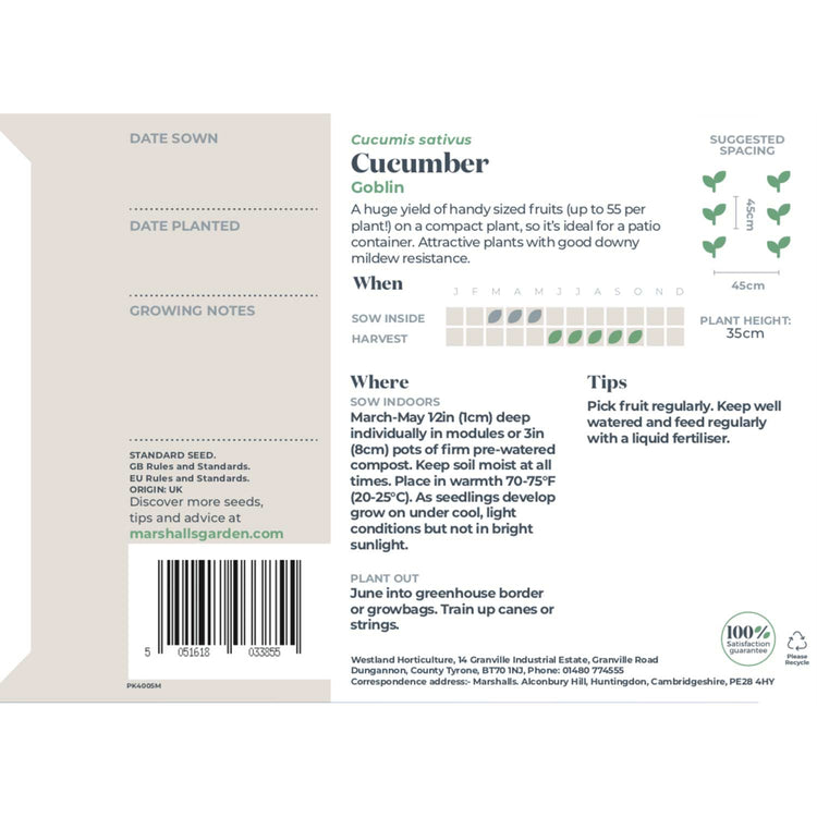 Cucumber Seeds 'Goblin'
