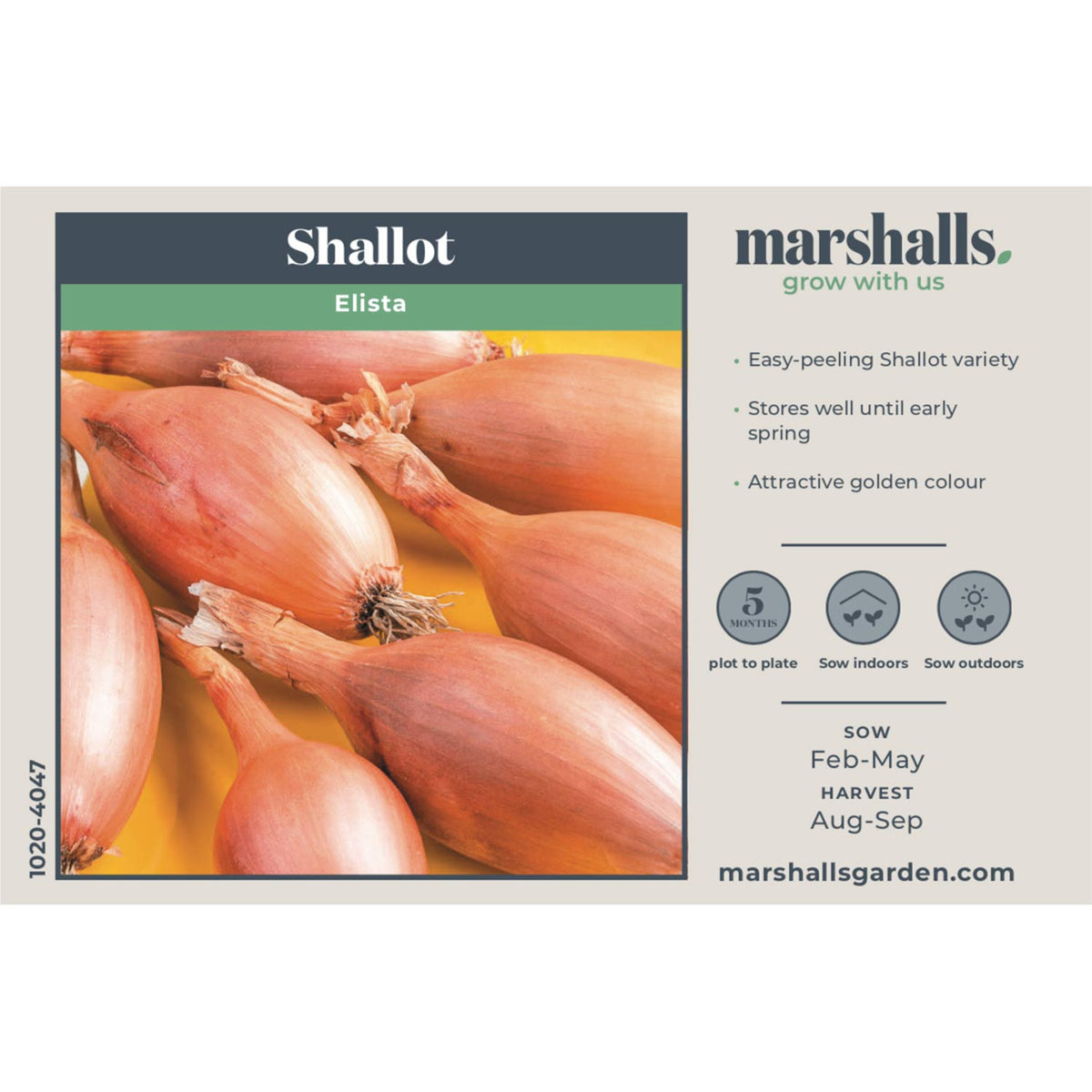 Shallot Seeds 'Elista' Buy Shallot Seeds Online Shallot Seeds for