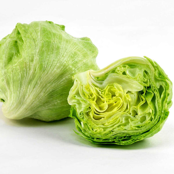 Lettuce Seeds 'Iceberg 3'