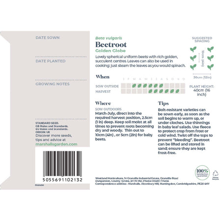 Beetroot Seeds 'Golden Globe'