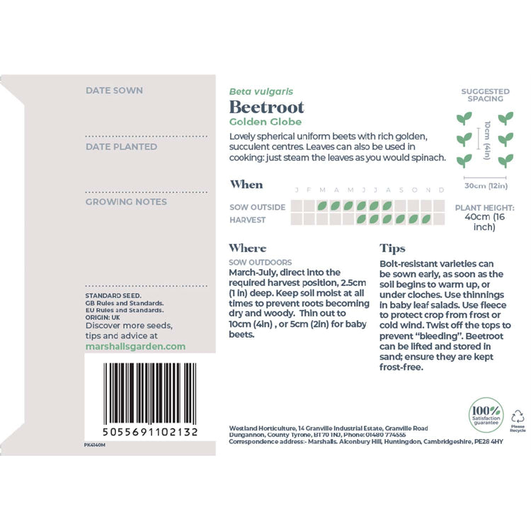 Beetroot Seeds 'Golden Globe'