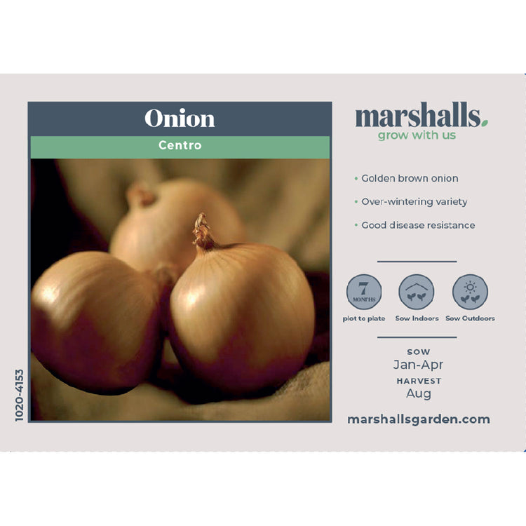 Onion Seeds 'Centro'