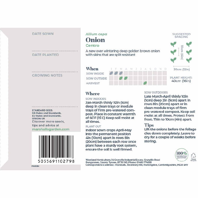 Onion Seeds 'Centro'