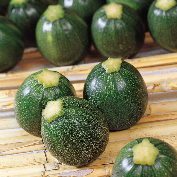 Courgette Seeds 'Eight Ball'