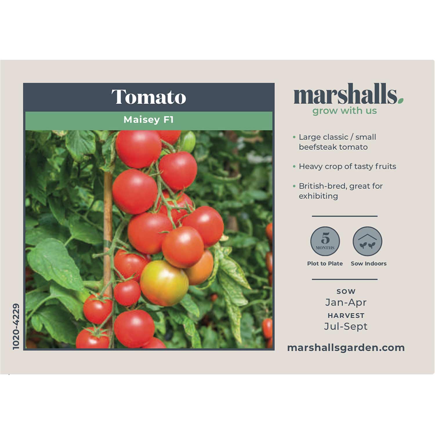 Tomato 'Maisey' Cordon F1 - Seeds – Marshalls Garden