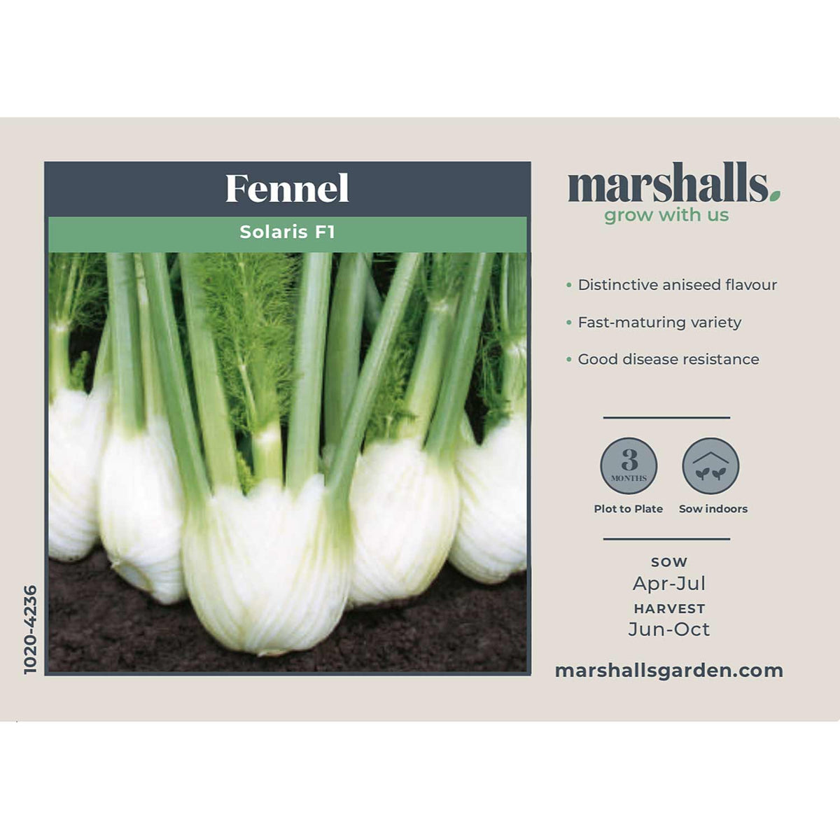 Fennel Seeds 'Solaris' F1 Buy Fennel Seeds Online Fennel Seeds for