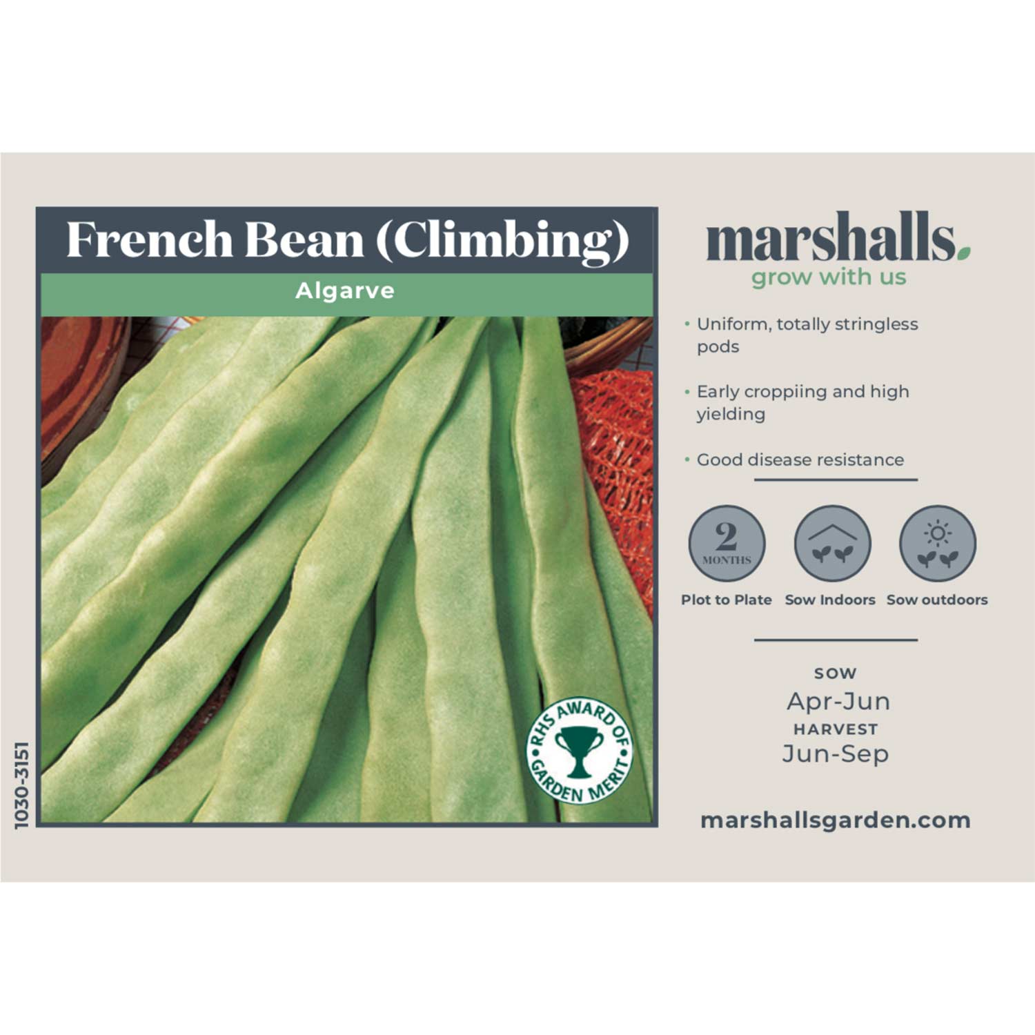 Buy Climbing French Bean Seeds - Algarve Online 