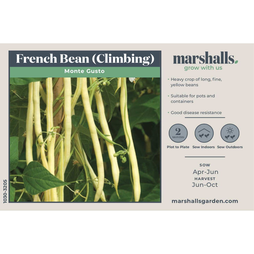 Buy Climbing French Bean Monte Gusto Seeds online | Marshalls ...