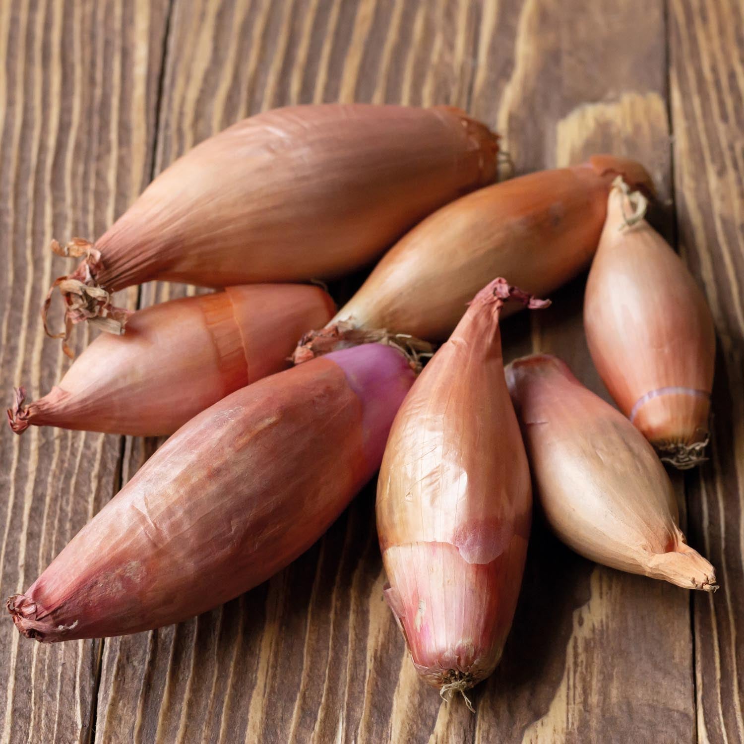 Zebrune Shallot Onion Seeds