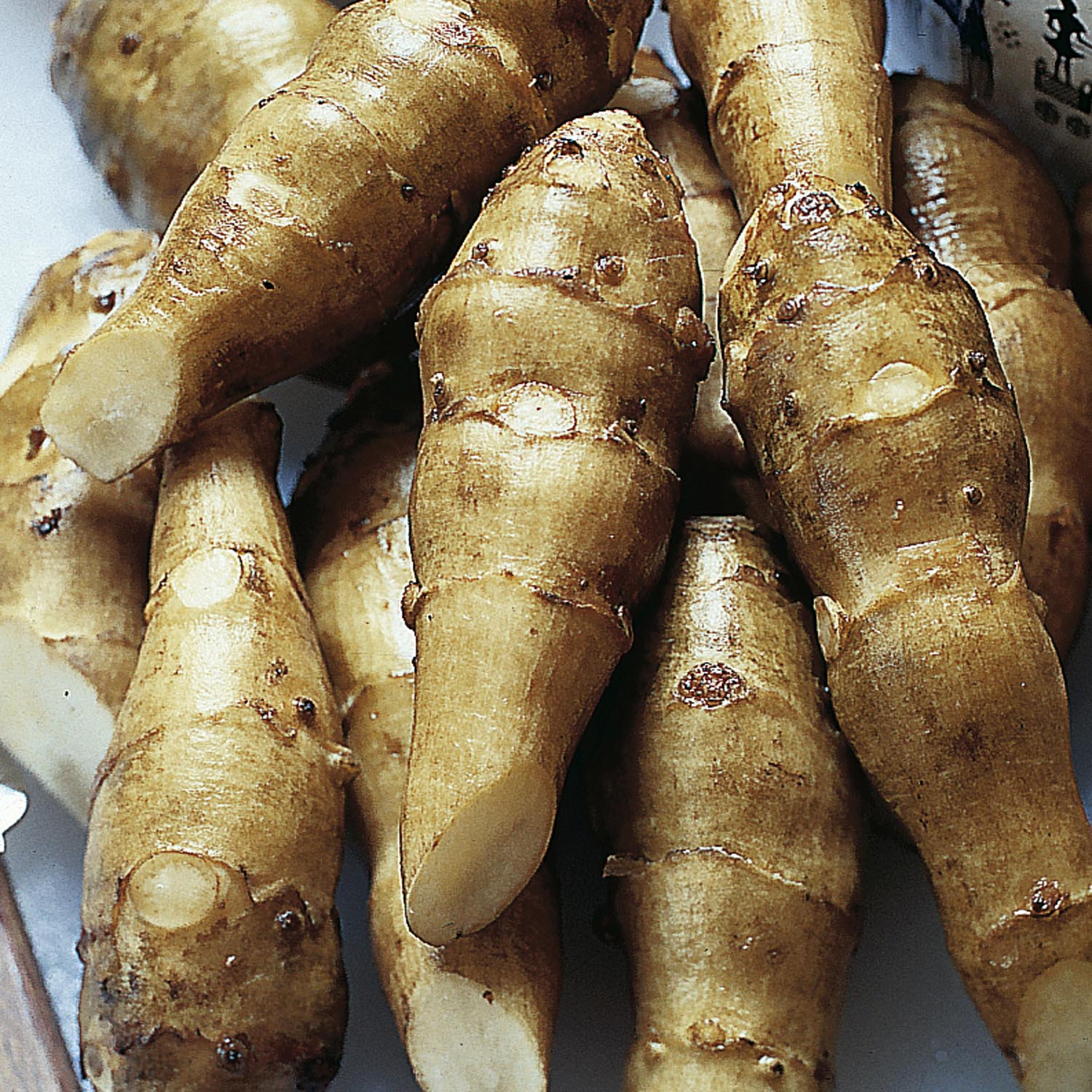 Jerusalem Artichoke Tubers For Sale
