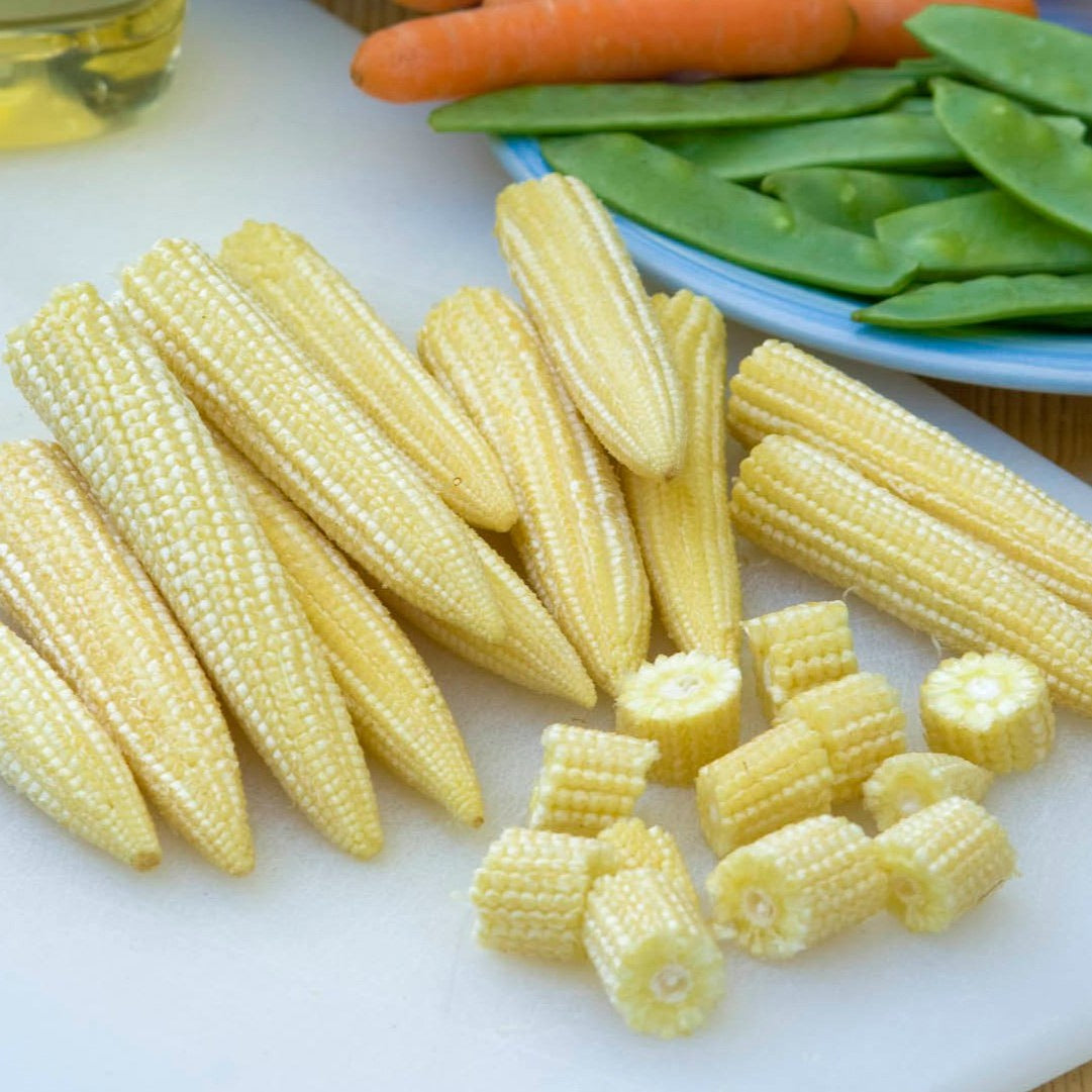 Mini Soft Corn Sweetcorn 'Mini Pop' - 12 Garden Ready Plants | Buy Sweetcorn Plants ...